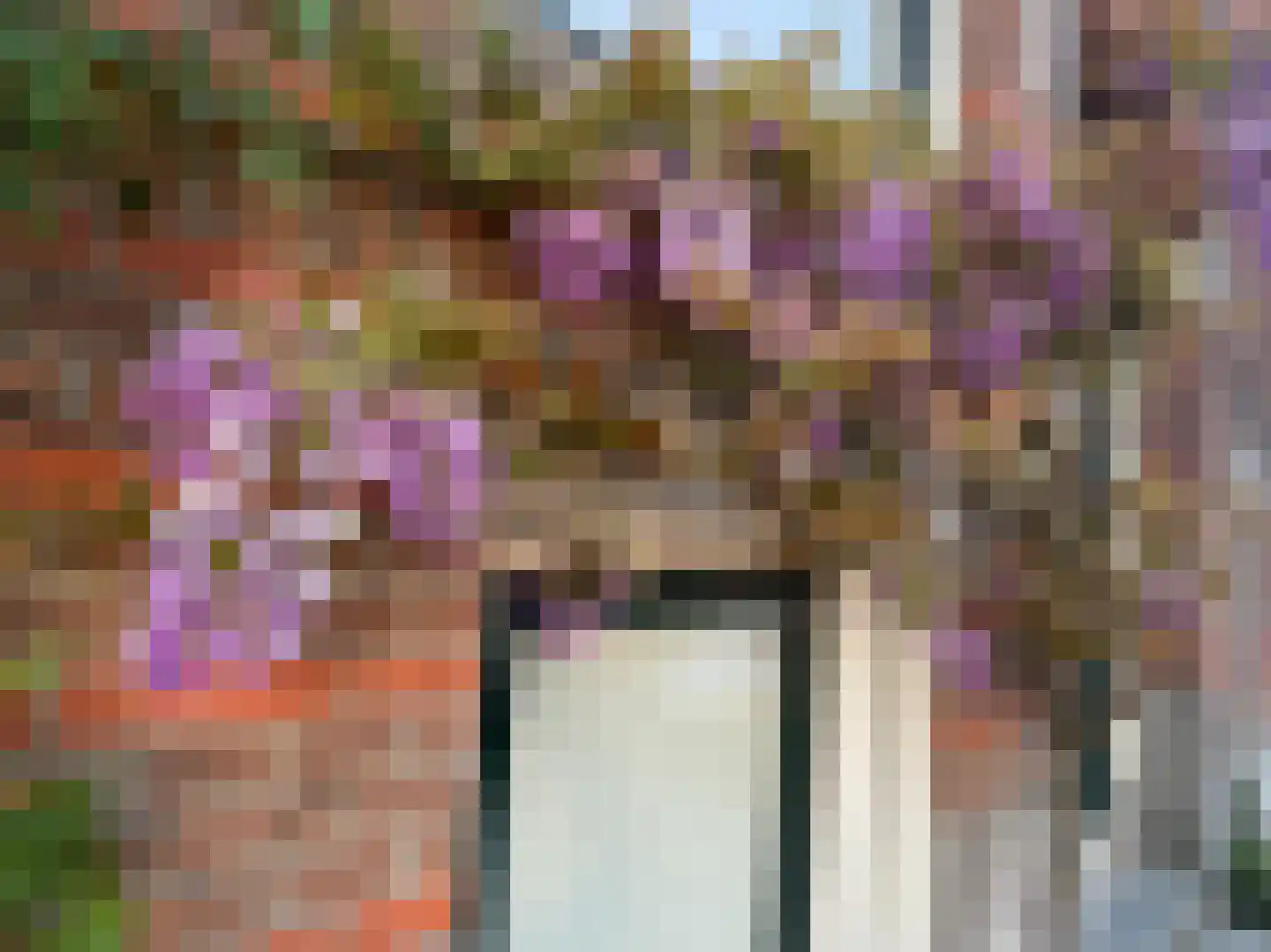 Claes de Vrieselaan 82 B Rotterdam thumbnail 68