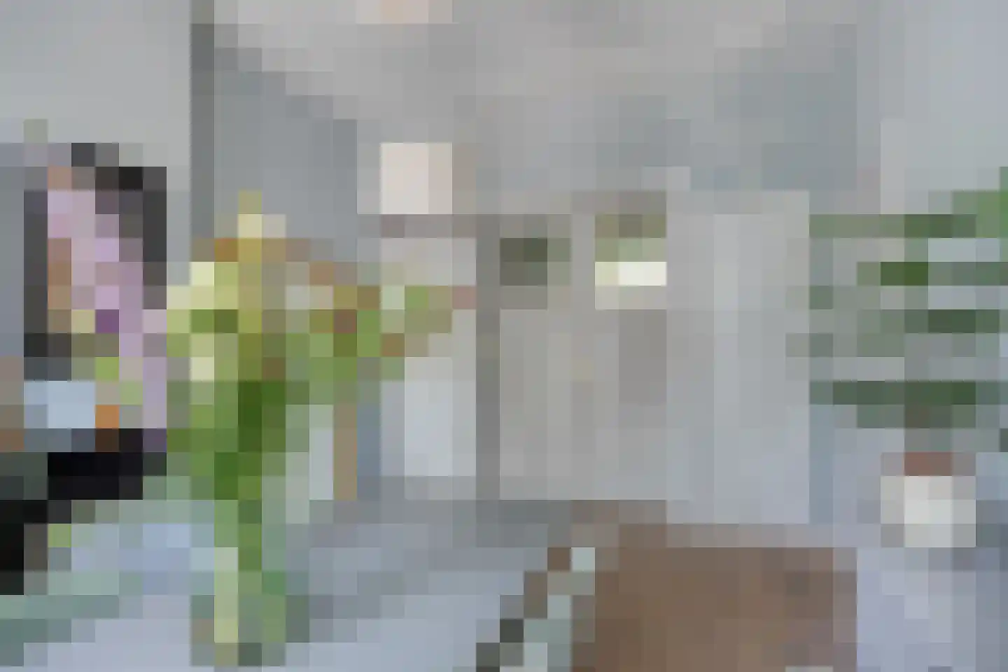 Claes de Vrieselaan 82 B Rotterdam thumbnail 8