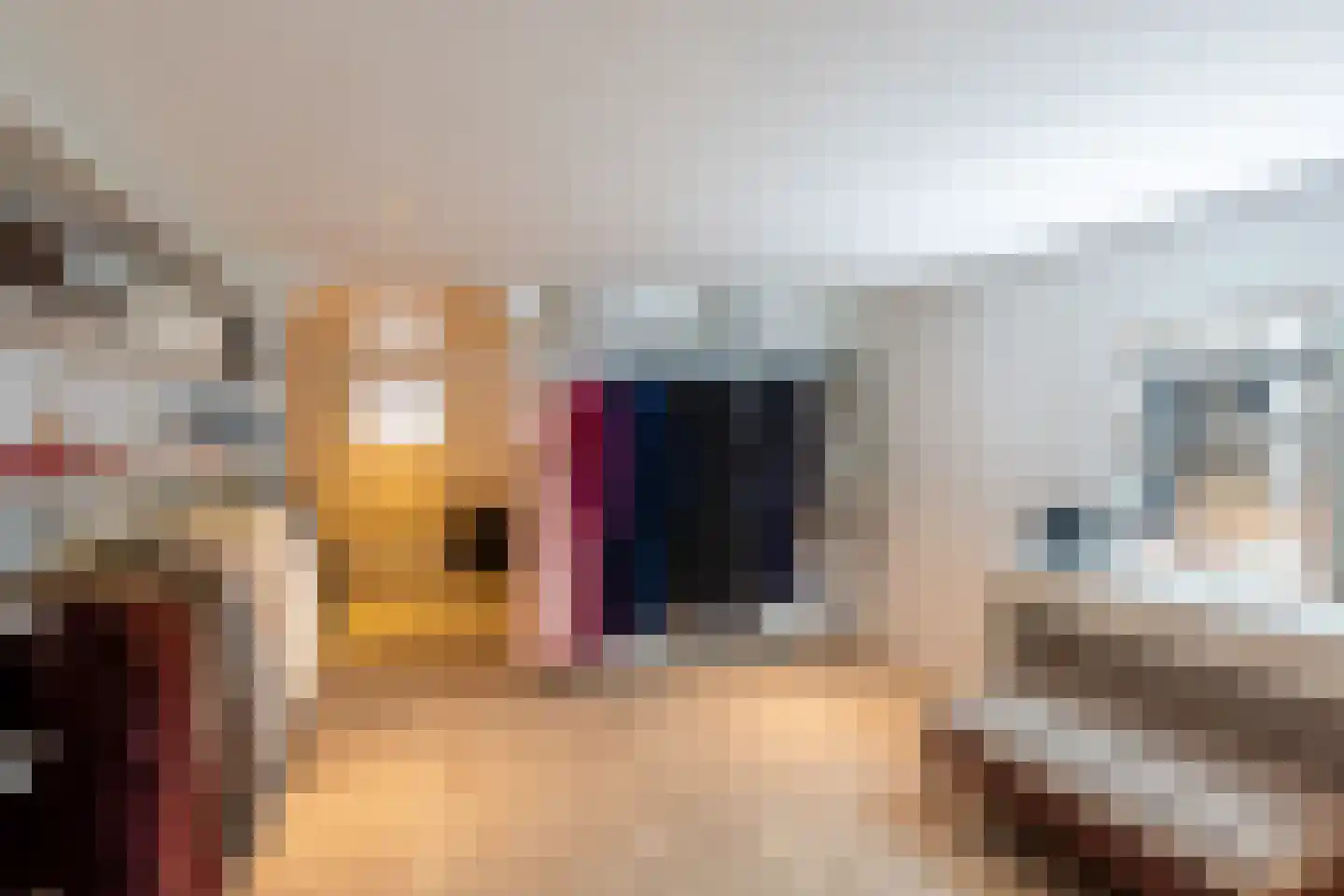 Claes de Vrieselaan 85 B Rotterdam thumbnail 34