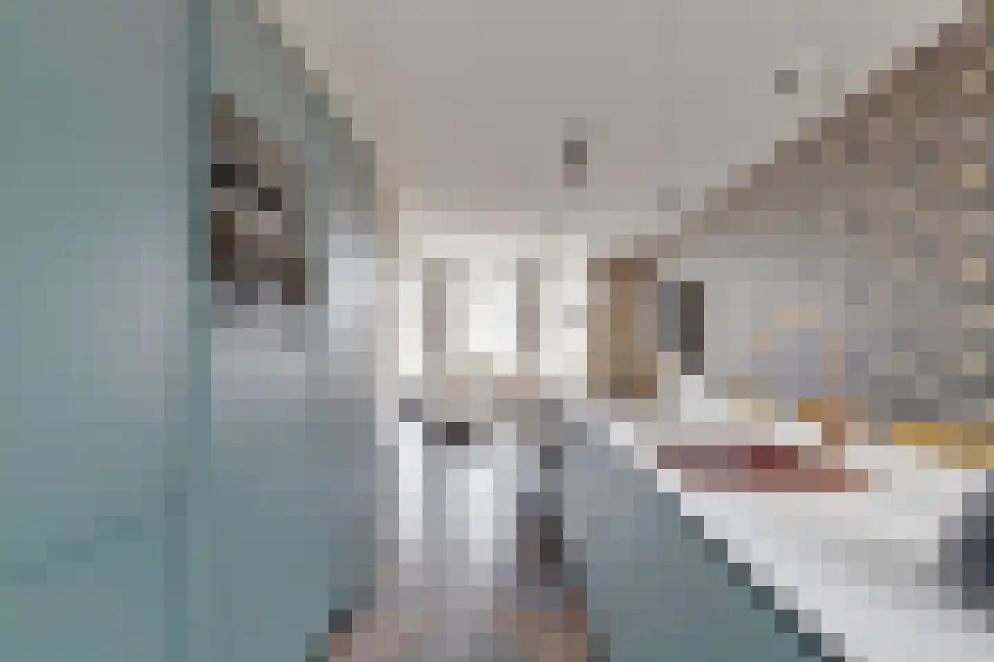 Claes de Vrieselaan 91 B Rotterdam thumbnail 17