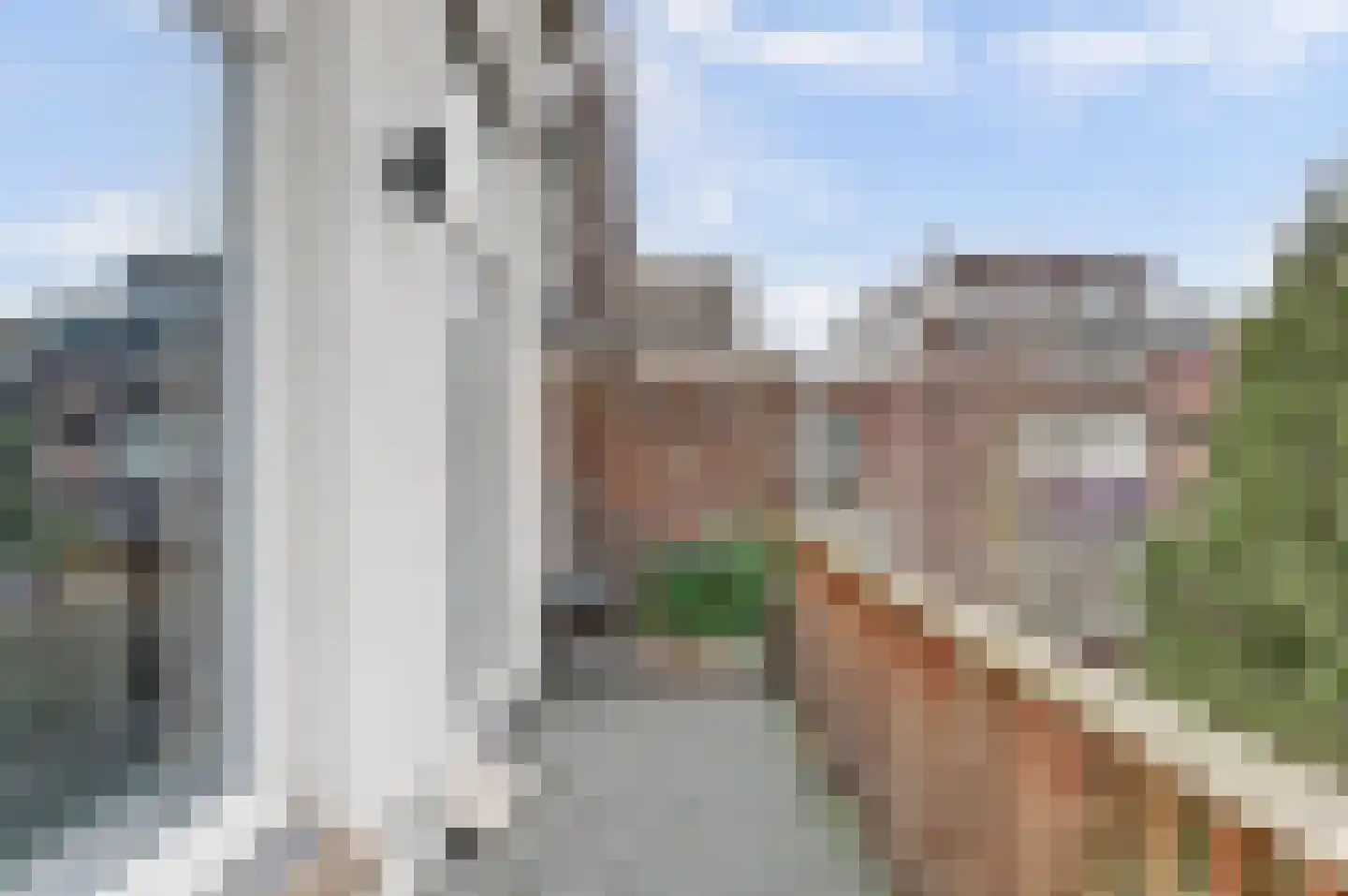 Claes de Vrieselaan 91 B Rotterdam thumbnail 19
