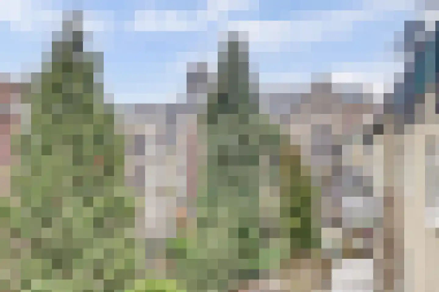 Claes de Vrieselaan 91 B Rotterdam thumbnail 20