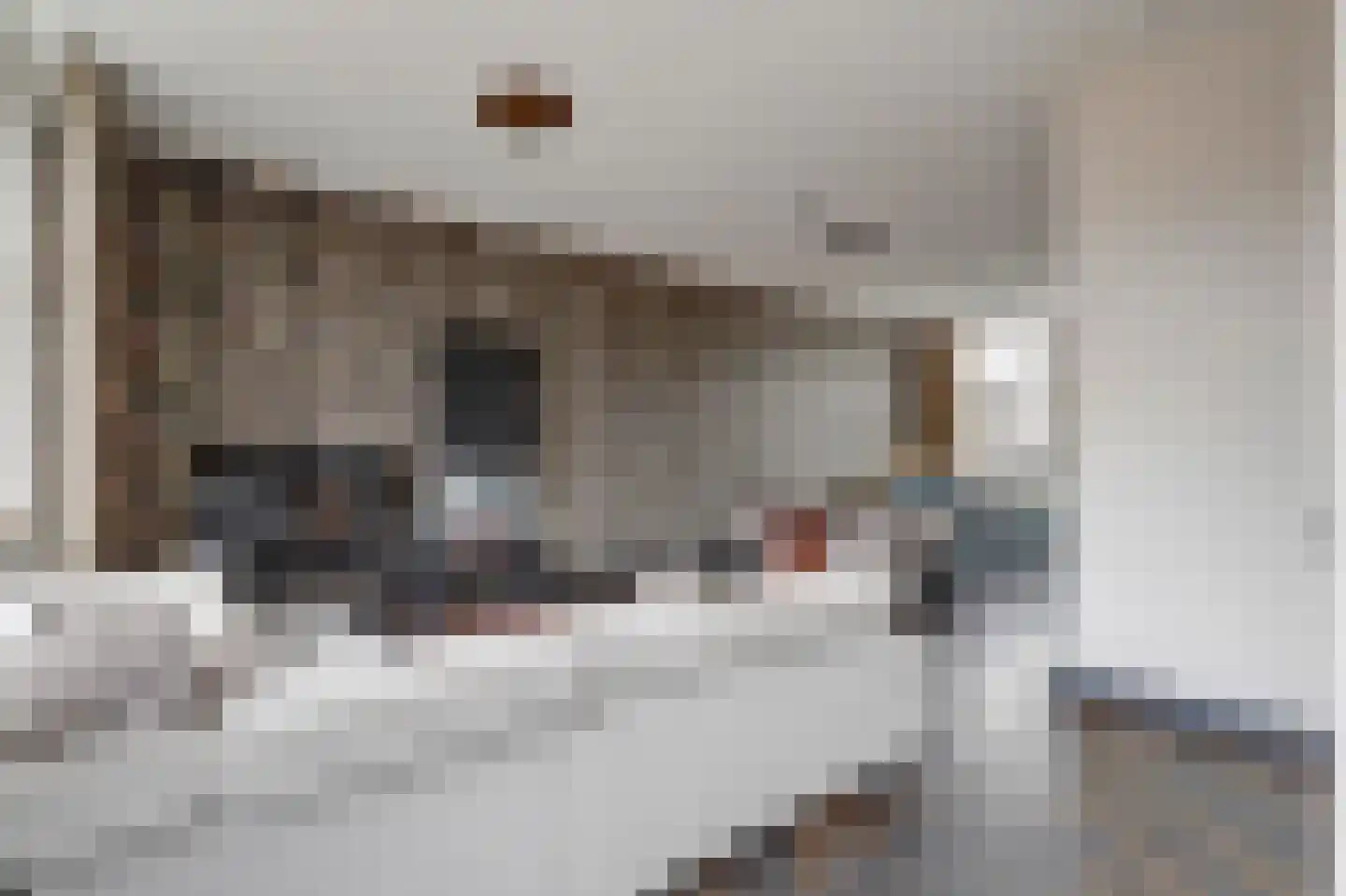Claes de Vrieselaan 91 B Rotterdam thumbnail 9