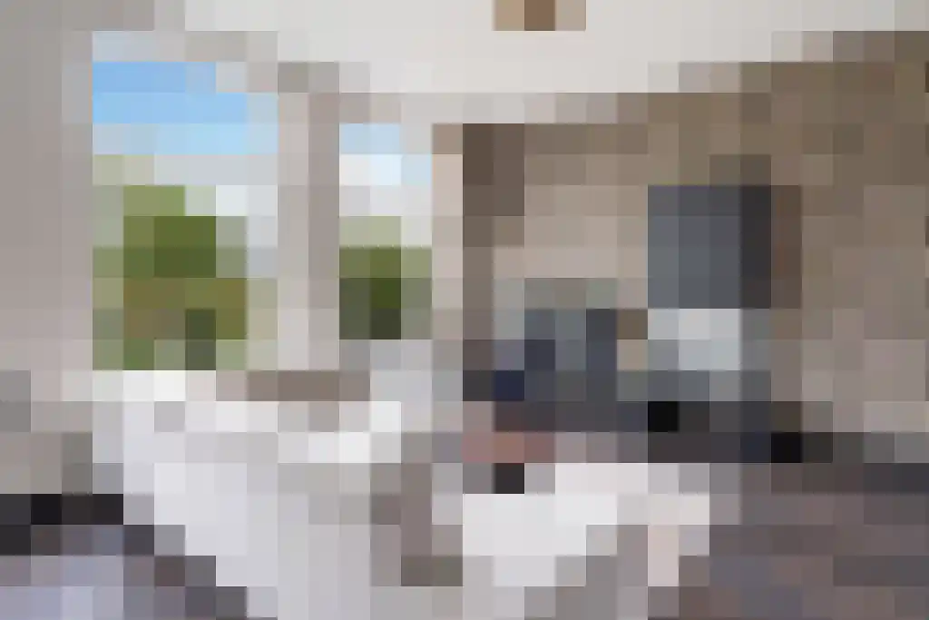 Claes de Vrieselaan 91 Rotterdam thumbnail 5