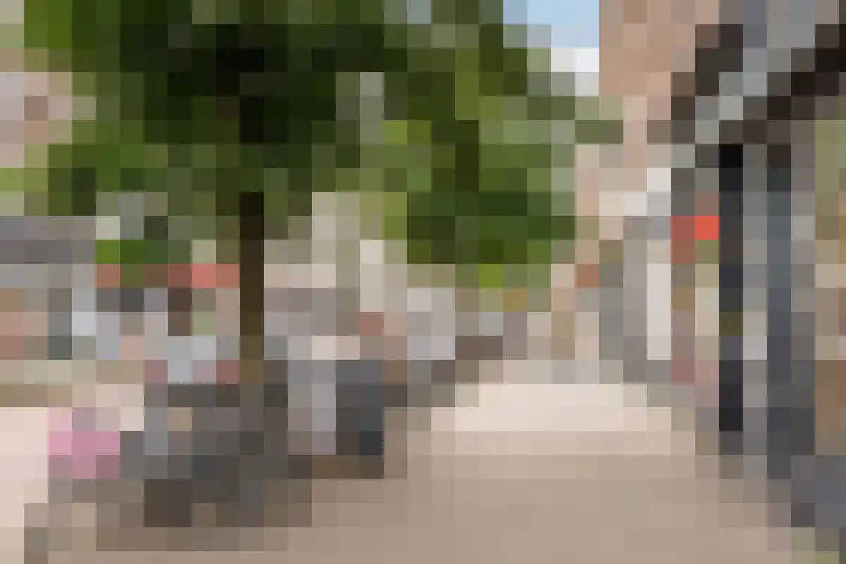 Claes de Vrieselaan 96 Rotterdam thumbnail 5