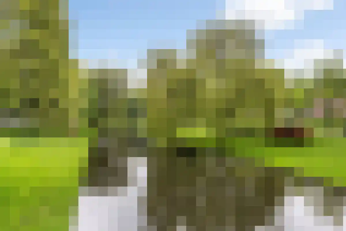 Claes de Vrieselaan 96 Rotterdam thumbnail 6