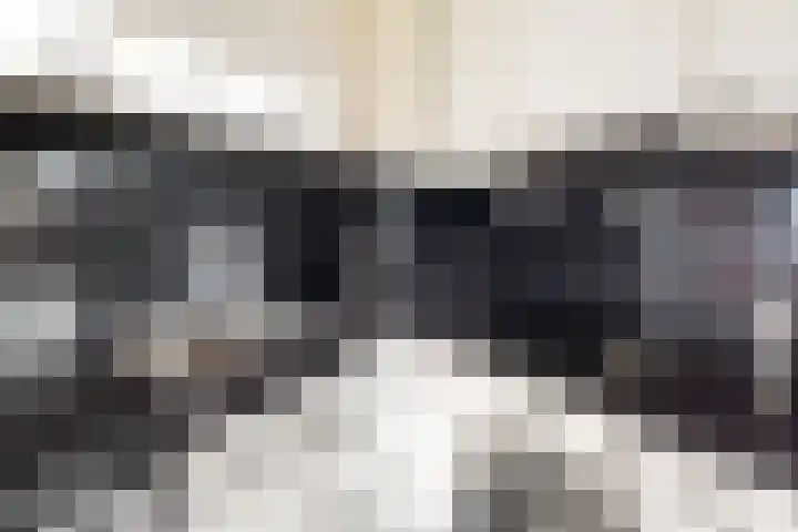 Claes de Wyckerlaan 16 Monster thumbnail 15