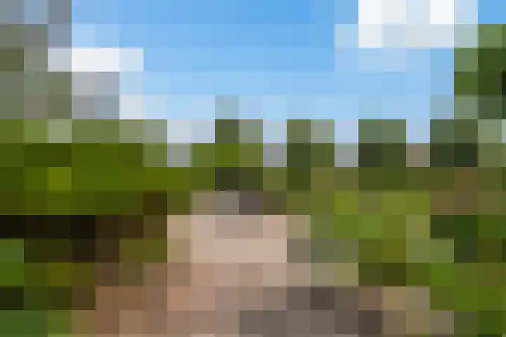 Claes de Wyckerlaan 16 Monster thumbnail 16