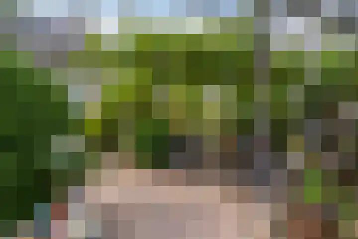 Claes de Wyckerlaan 16 Monster thumbnail 18