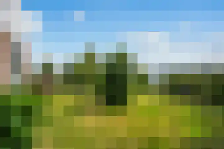 Claes de Wyckerlaan 16 Monster thumbnail 22