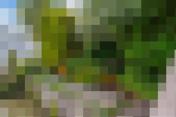 Claes de Wyckerlaan 16 Monster thumbnail 25