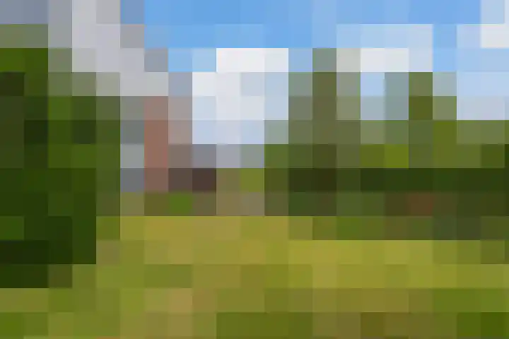 Claes de Wyckerlaan 16 Monster thumbnail 26