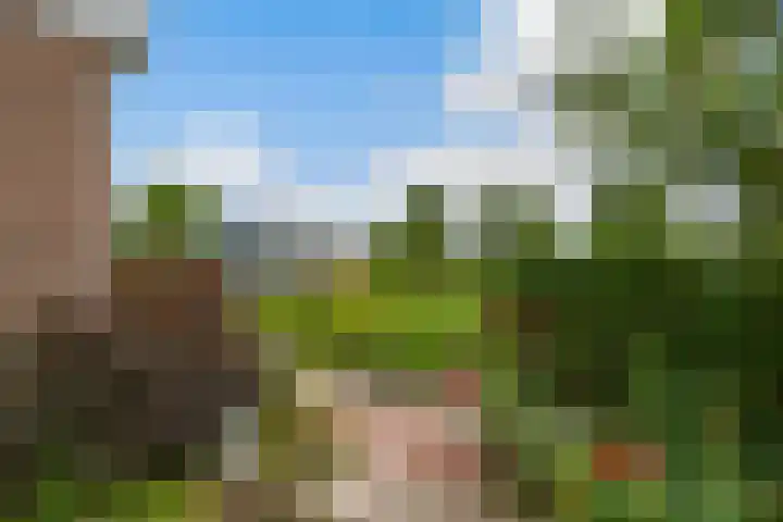 Claes de Wyckerlaan 16 Monster thumbnail 27