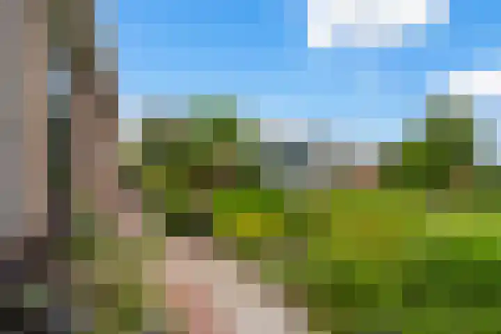 Claes de Wyckerlaan 16 Monster thumbnail 28