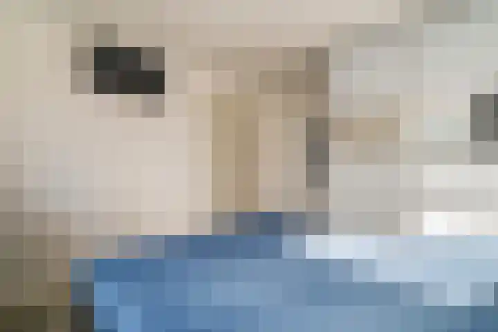 Claes de Wyckerlaan 16 Monster thumbnail 33