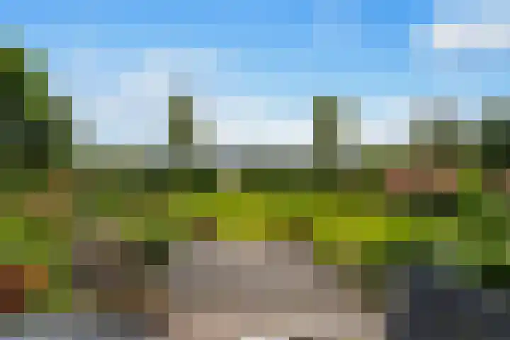 Claes de Wyckerlaan 16 Monster thumbnail 4