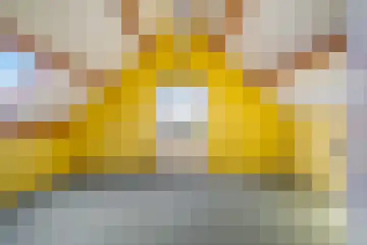 Claes de Wyckerlaan 16 Monster thumbnail 47