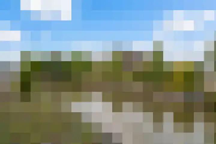 Claes de Wyckerlaan 16 Monster thumbnail 49
