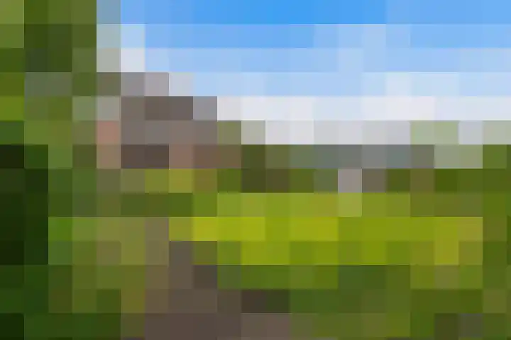 Claes de Wyckerlaan 16 Monster thumbnail 5