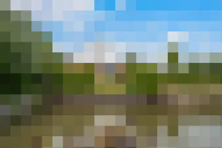 Claes de Wyckerlaan 16 Monster thumbnail 6