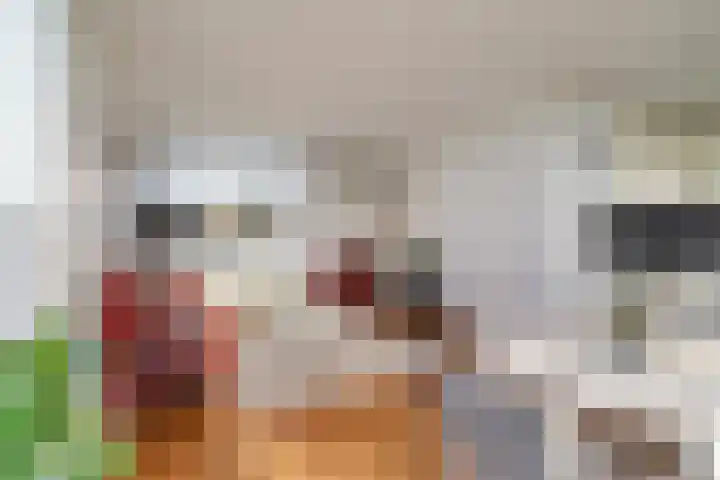 Claes de Wyckerlaan 16 Monster thumbnail 9