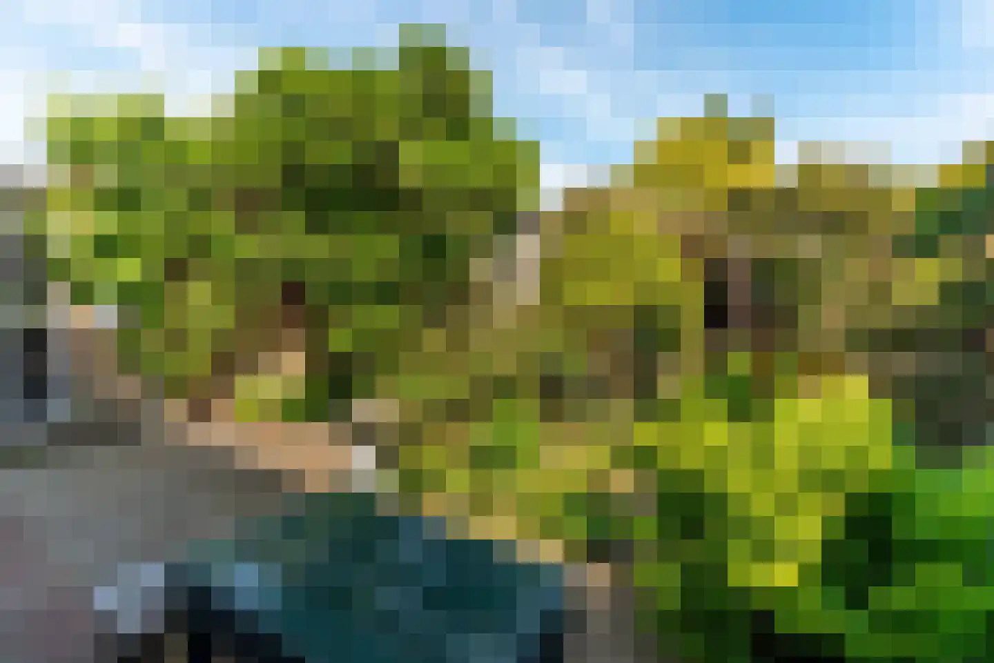 Claes Heynensoenlaan 16 Kortenhoef thumbnail 35