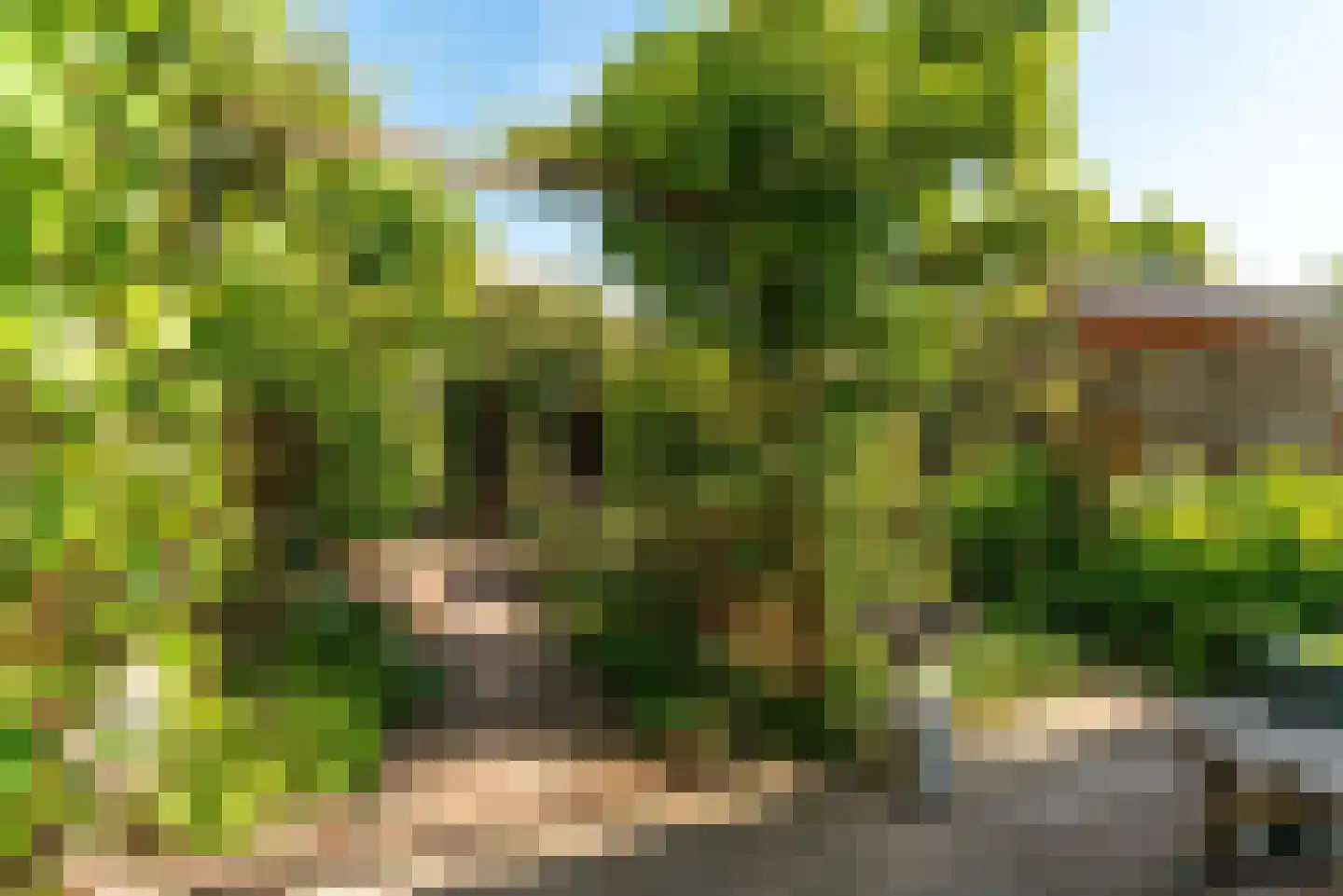 Claes Heynensoenlaan 16 Kortenhoef thumbnail 37