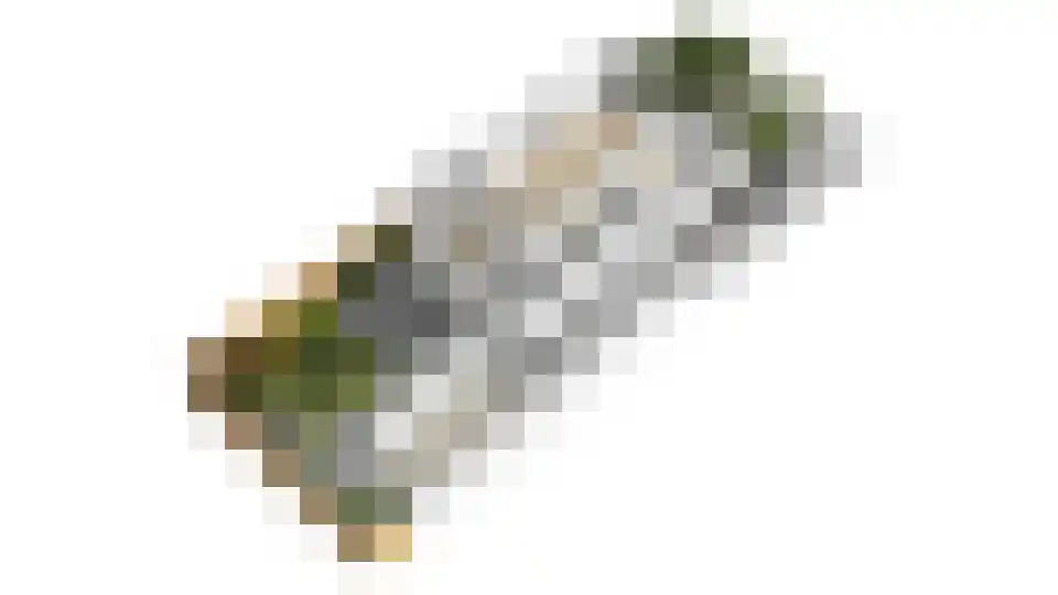 Claes Heynensoenlaan 16 Kortenhoef thumbnail 40