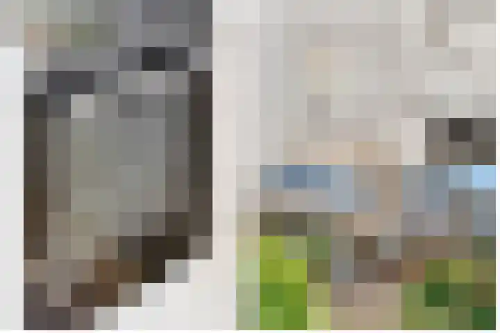 Claes Heynensoenlaan 9 Kortenhoef thumbnail 10