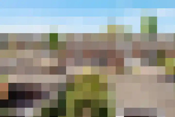 Claes Heynensoenlaan 9 Kortenhoef thumbnail 23
