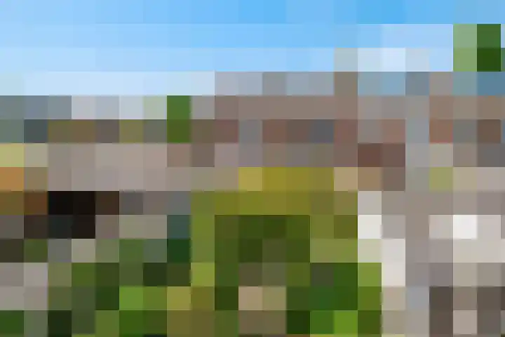 Claes Heynensoenlaan 9 Kortenhoef thumbnail 25