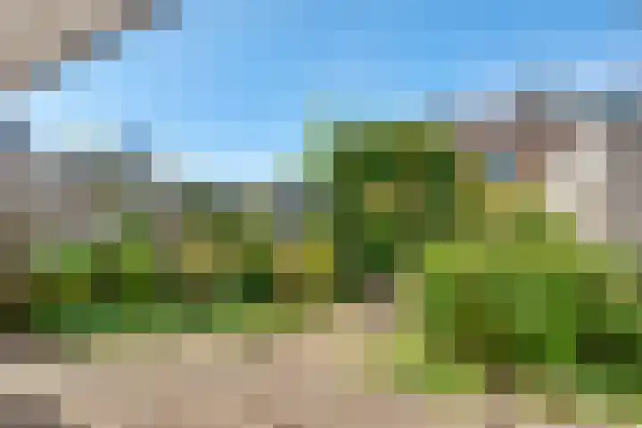 Claes Heynensoenlaan 9 Kortenhoef thumbnail 28