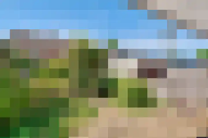 Claes Heynensoenlaan 9 Kortenhoef thumbnail 30