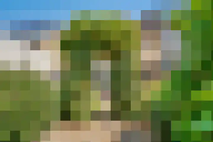 Claes Heynensoenlaan 9 Kortenhoef thumbnail 32