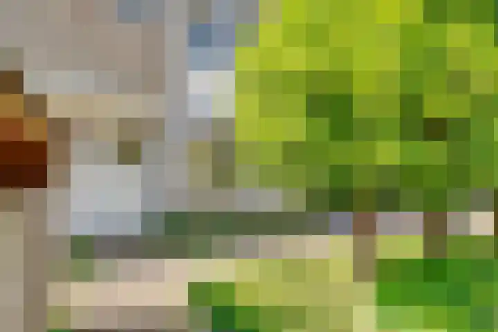 Claes Heynensoenlaan 9 Kortenhoef thumbnail 36