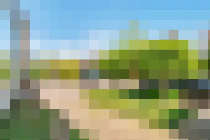 Claes Heynensoenlaan 9 Kortenhoef thumbnail 39