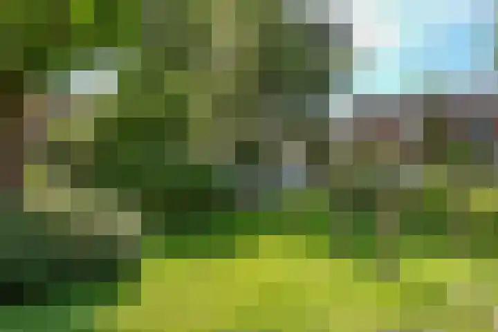 Claes Heynensoenlaan 9 Kortenhoef thumbnail 41