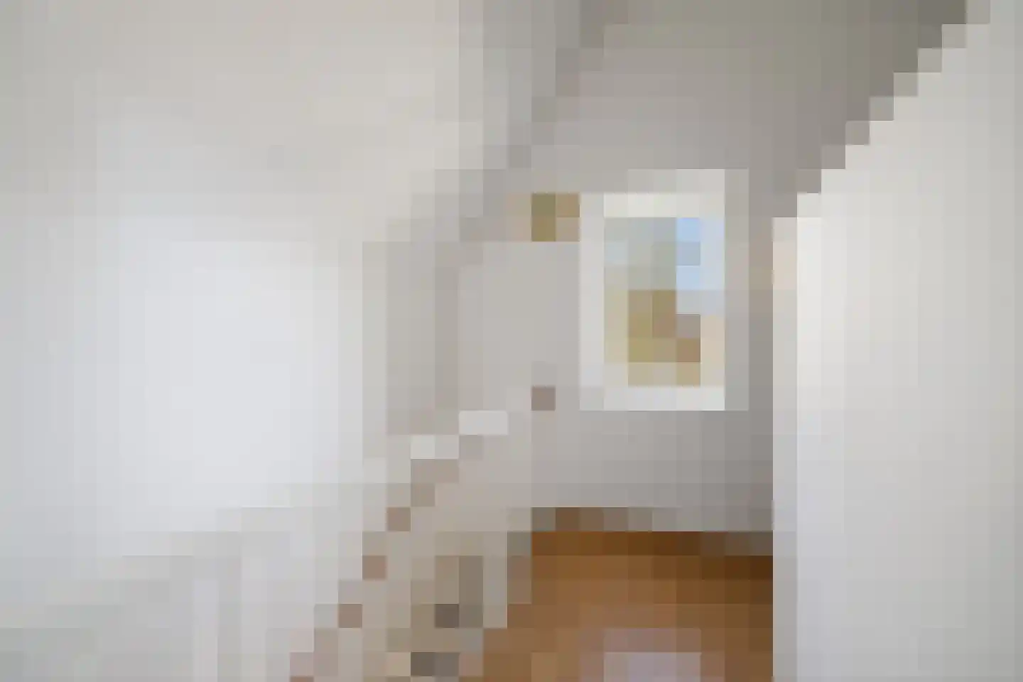 Claes Jansz Visscherstraat 10 Deventer thumbnail 23