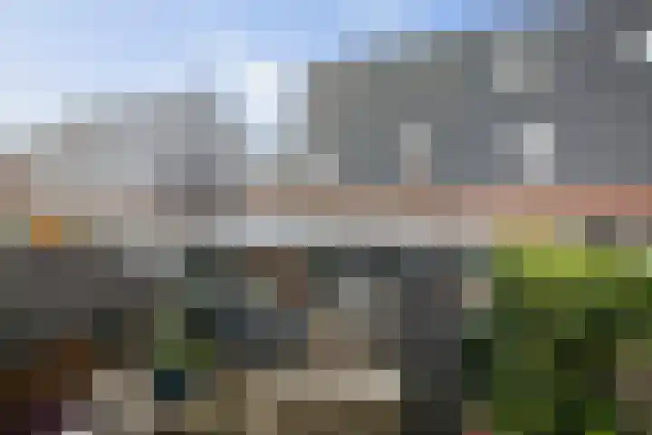 Claes Jansz Visscherstraat 43 Deventer thumbnail 22