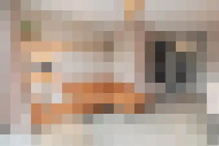 Claes van Kietenstraat 24 Spaarndam thumbnail 11