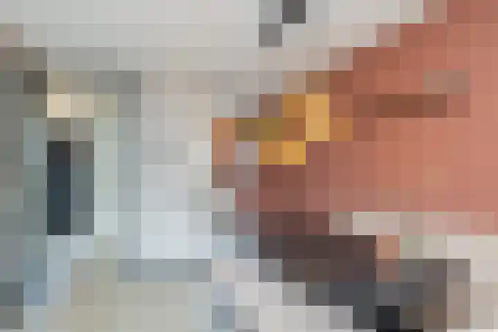 Claes van Kietenstraat 24 Spaarndam thumbnail 14