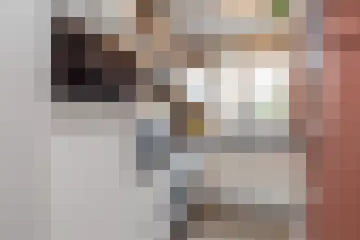 Claes van Kietenstraat 24 Spaarndam thumbnail 15