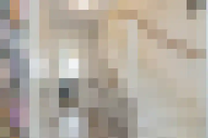 Claes van Kietenstraat 24 Spaarndam thumbnail 29