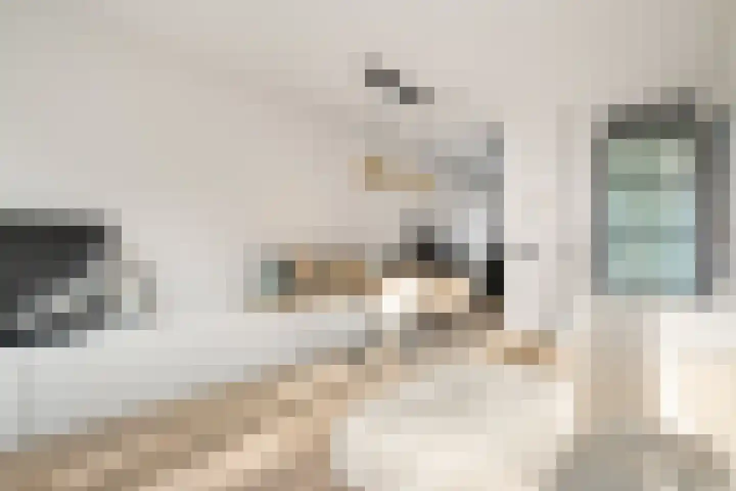 Claes van Kietenstraat 30 Spaarndam thumbnail 10