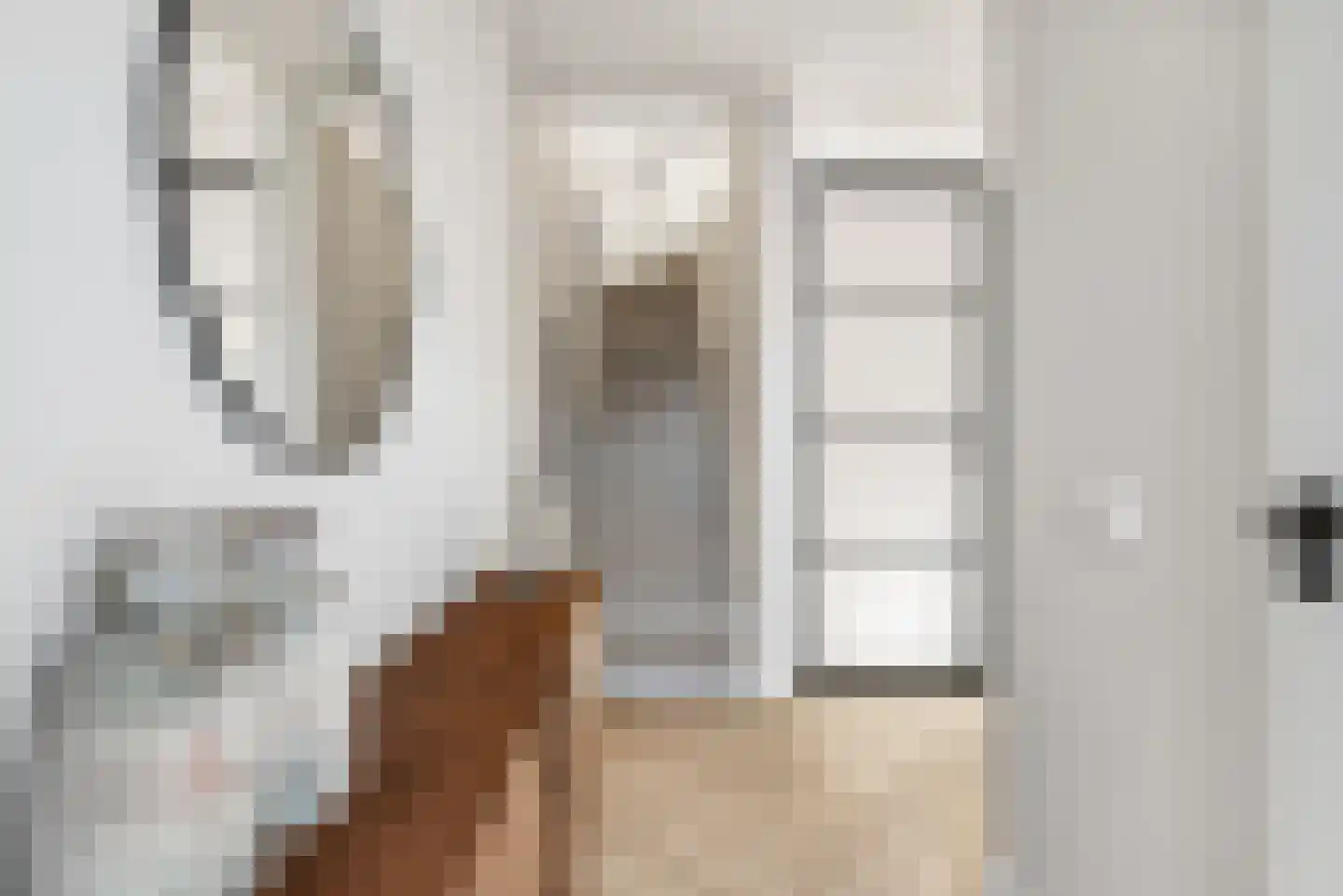 Claes van Kietenstraat 30 Spaarndam thumbnail 23