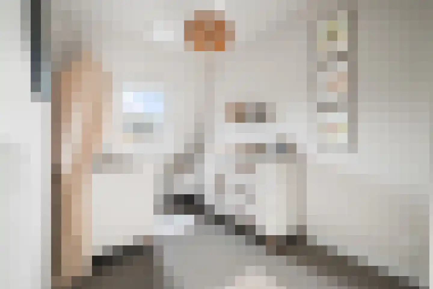 Claes van Kietenstraat 30 Spaarndam thumbnail 28