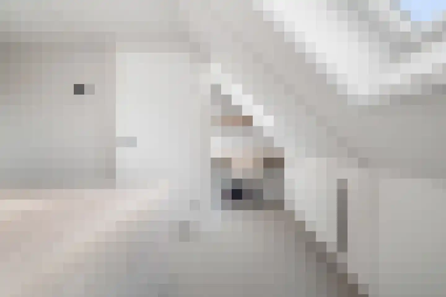 Claes van Kietenstraat 30 Spaarndam thumbnail 38