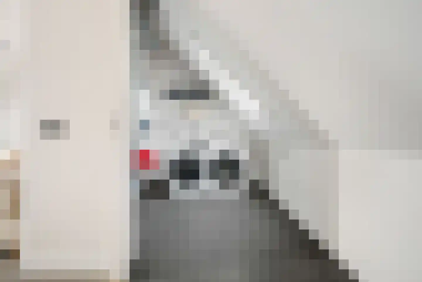 Claes van Kietenstraat 30 Spaarndam thumbnail 39