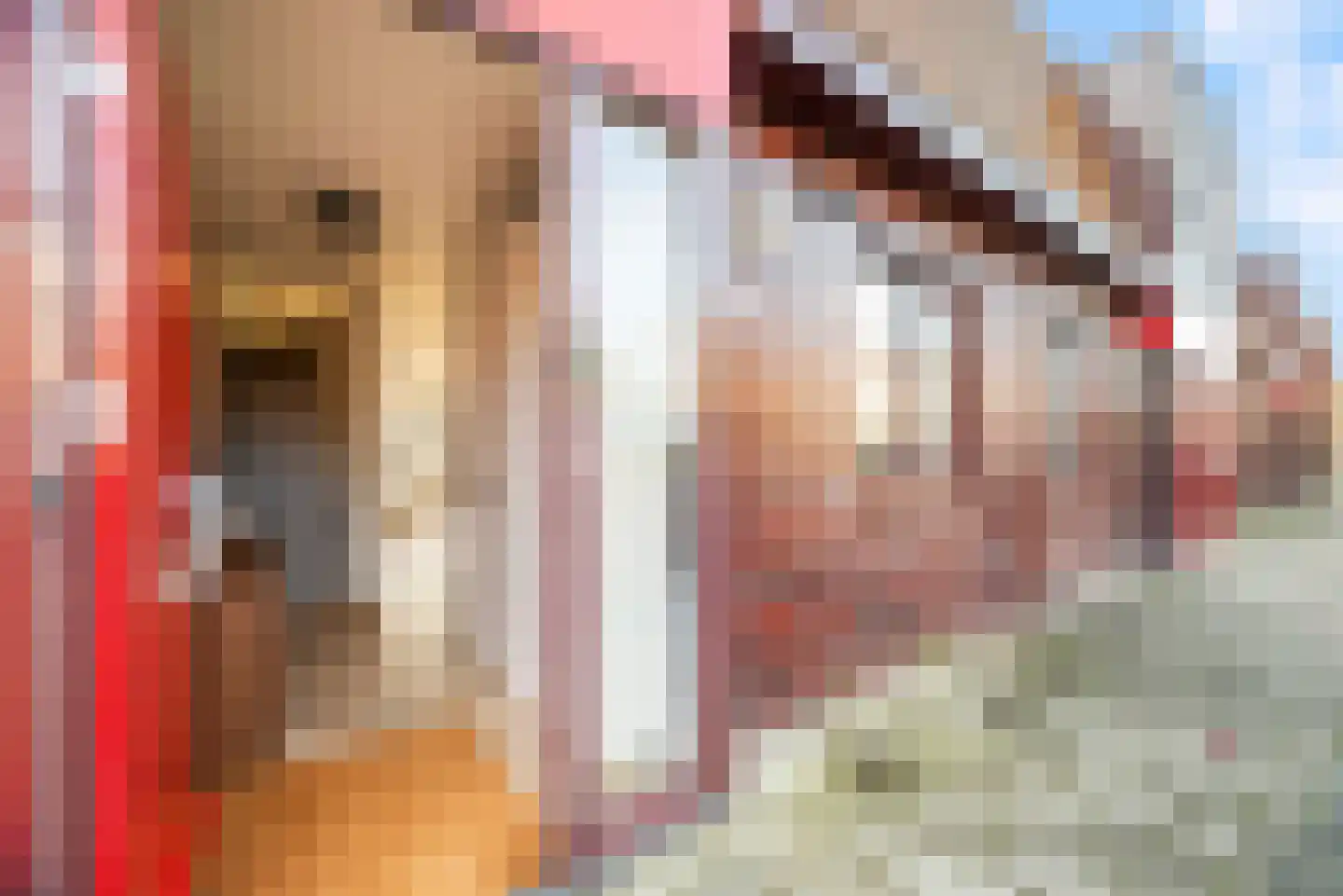 Claes van Kietenstraat 30 Spaarndam thumbnail 6