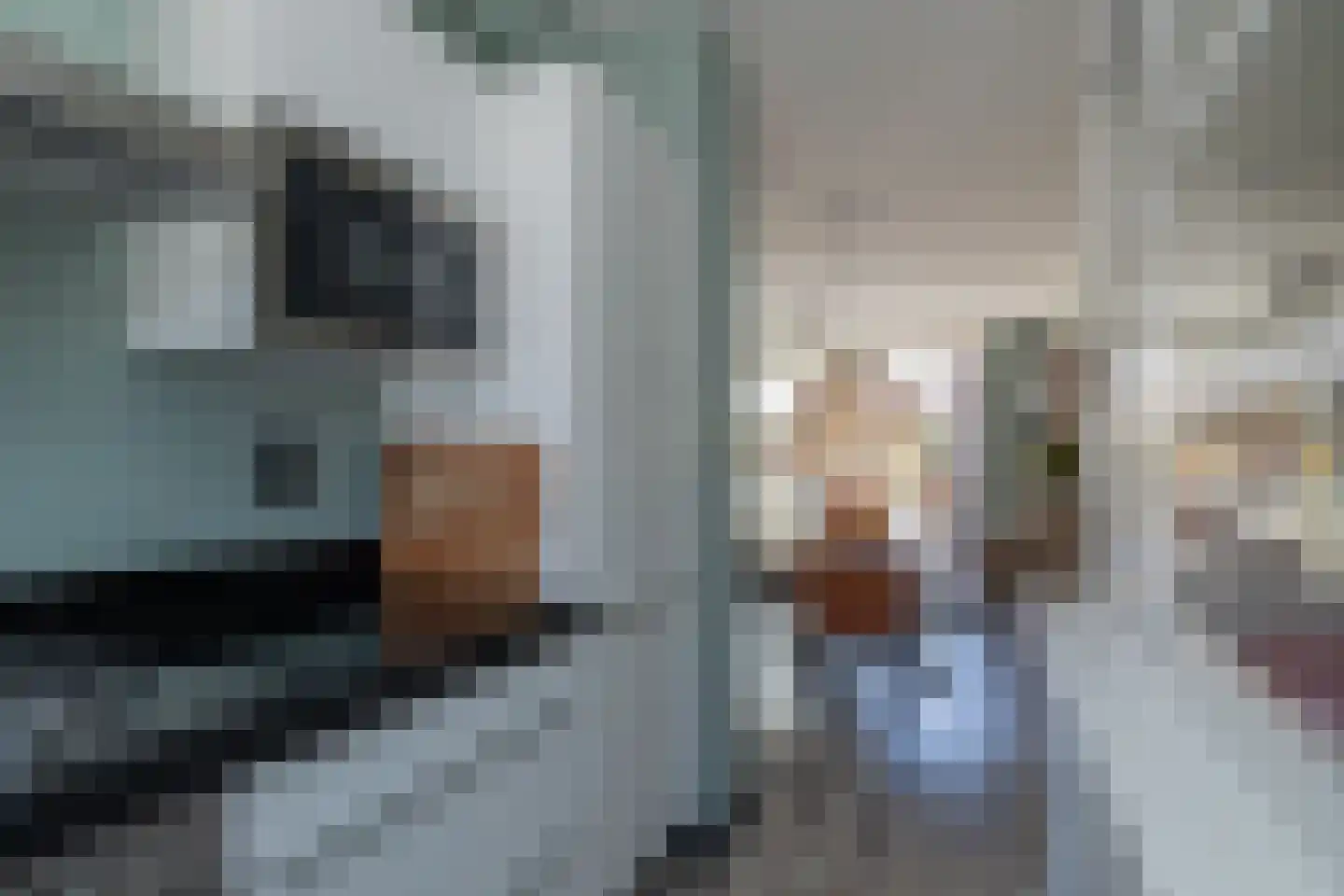 Claes van Kietenstraat 34 Spaarndam thumbnail 10